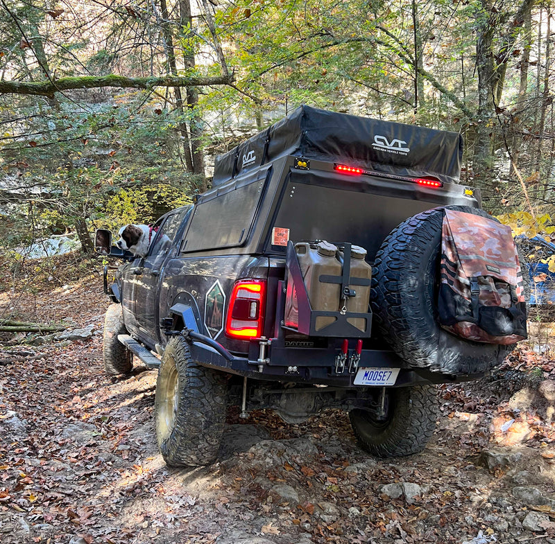 Swing Out Carrier Systems - Photo 40