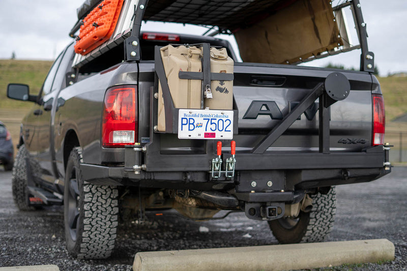 Swing Out Carrier Systems - Photo 25